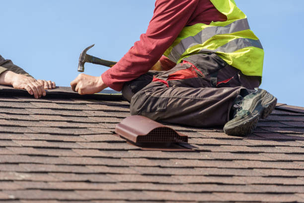 Best Roof Gutter Cleaning  in Browns Mills, NJ
